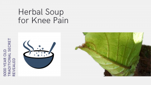 herbal-soup-for-knee-pain1